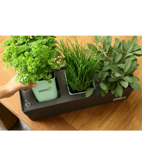 GREENBAR® Kräuterkasten, Ca. B48/H15,5/T16 Cm – Bild 6