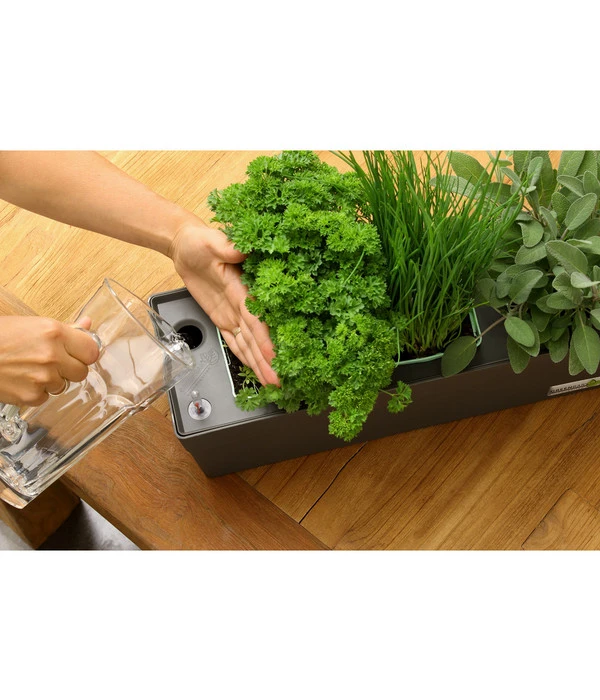 GREENBAR® Kräuterkasten, Ca. B48/H15,5/T16 Cm – Bild 7