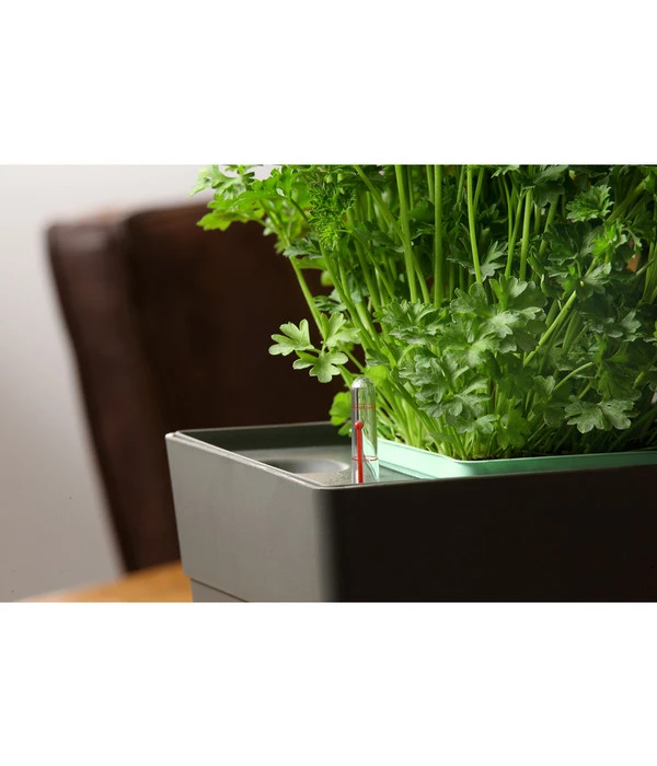 GREENBAR® Kräuterkasten, Ca. B48/H15,5/T16 Cm – Bild 8