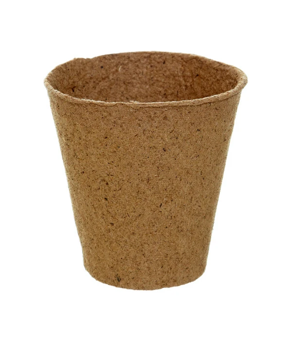 Dehner Anzuchttöpfe Für Pflanzen, 8 Cm – Bild 3