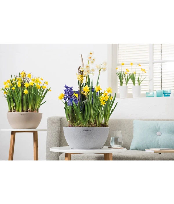 LECHUZA® Kunststoff-Schale Cubeto Stone, Rund – Bild 11