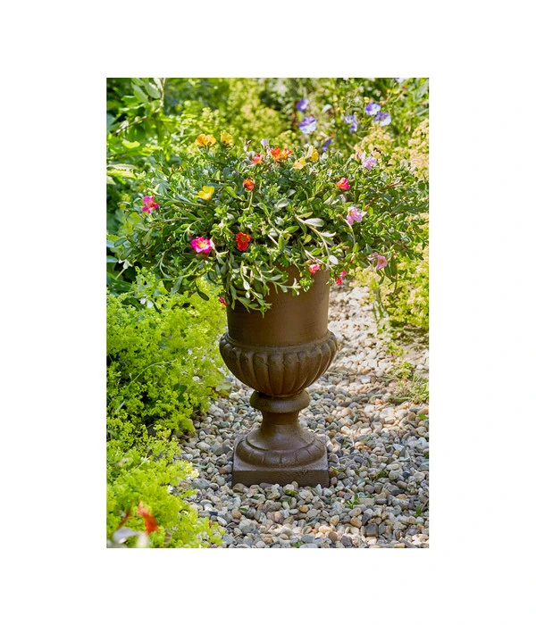 Esschert Design Französische Pflanzvase Aus Gusseisen, Dunkelbraun – Bild 2