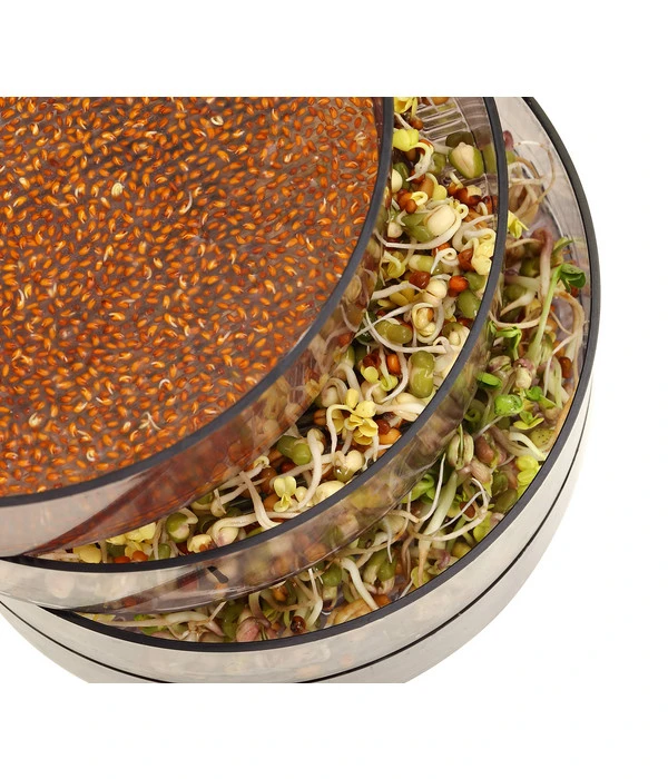 Dehner Sprossenhaus, 4 Schalen – Bild 3