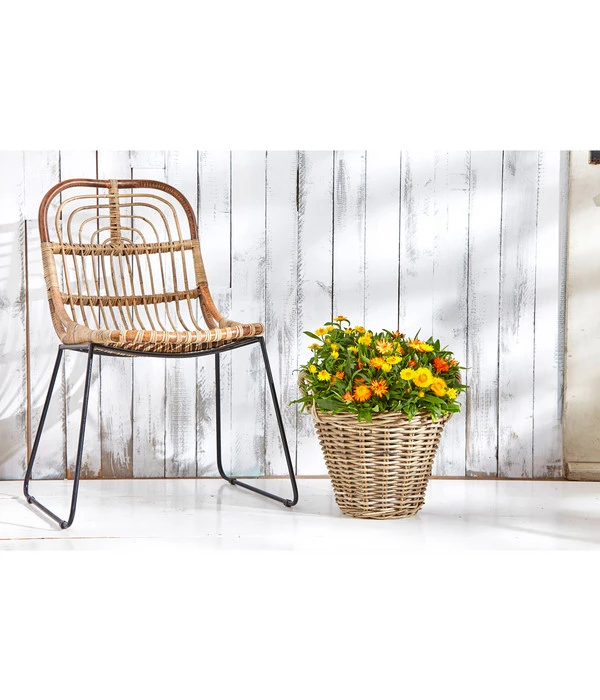 Van Der Leeden Rattan-Korb Mit Henkeln, Rund, Grau-braun – Bild 3