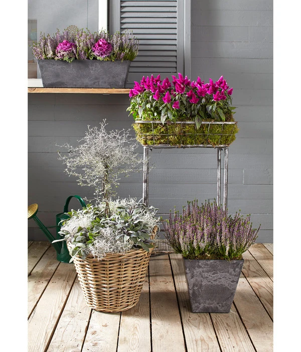 Van Der Leeden Rattan-Korb Mit Henkeln, Rund, Grau-braun – Bild 10