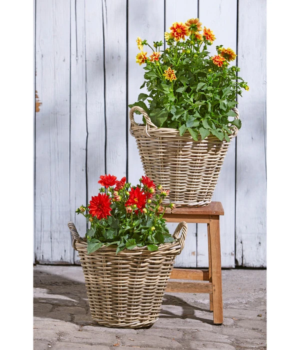 Van Der Leeden Rattan-Korb Mit Henkeln, Rund, Grau-braun – Bild 9