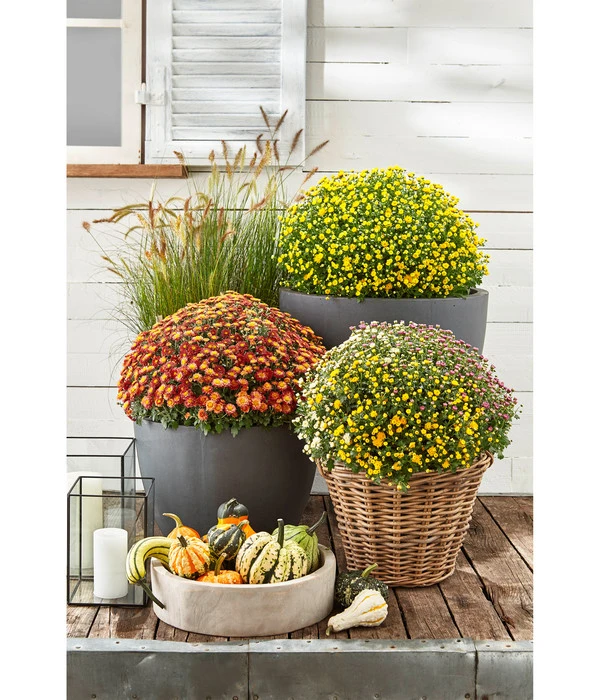 Van Der Leeden Rattan-Korb Mit Henkeln, Rund, Grau-braun – Bild 11