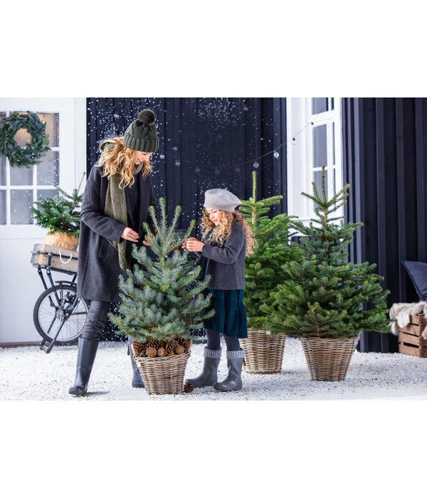 Van Der Leeden Rattan-Korb Mit Henkeln, Rund, Grau-braun – Bild 2