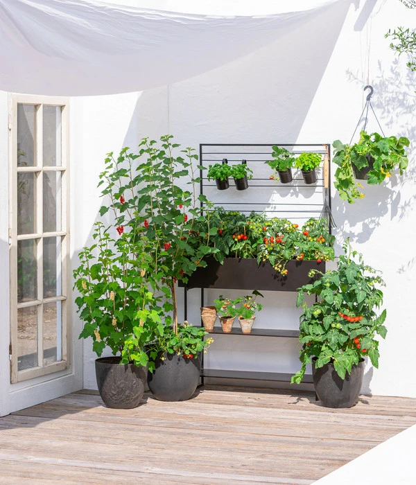 Kunststoff-Topf Padua, Rund – Bild 3