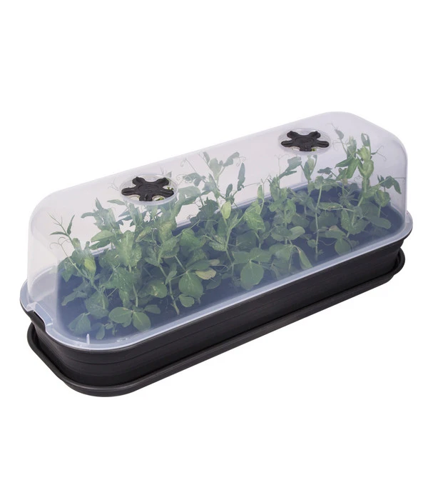 Elho Anzuchthaube L – Bild 2