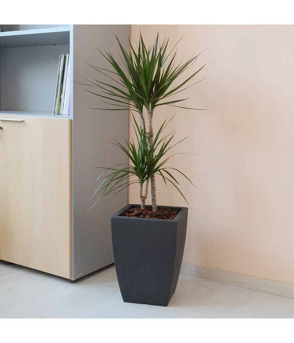 Farmet Kunststoff-Pflanzkübel Hydrus – Bild 2