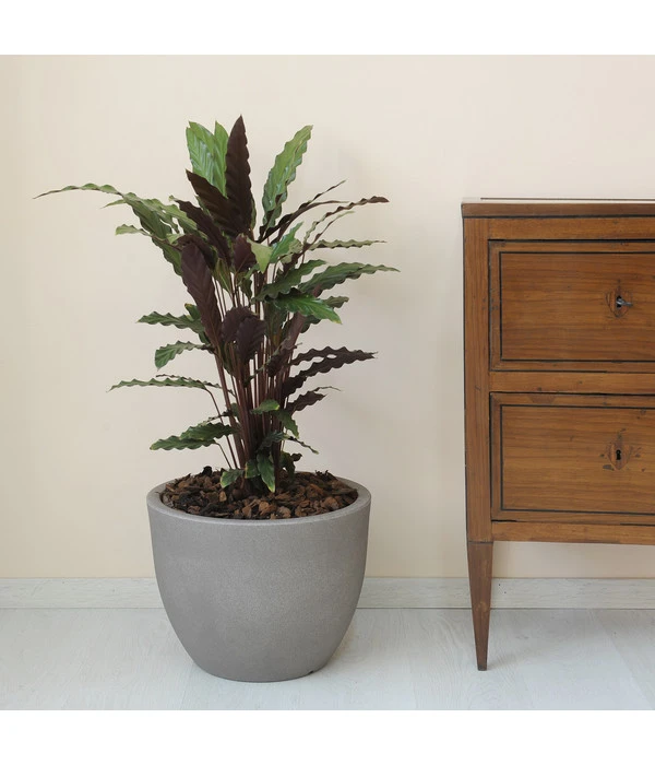 Farmet Kunststoff-Topf Orione – Bild 2