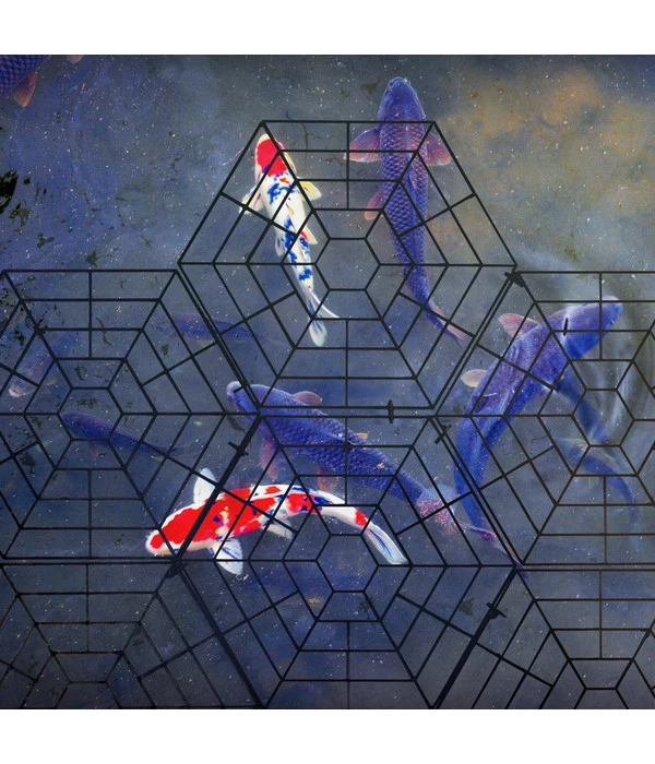 Gardigo Teichschutz – Bild 5