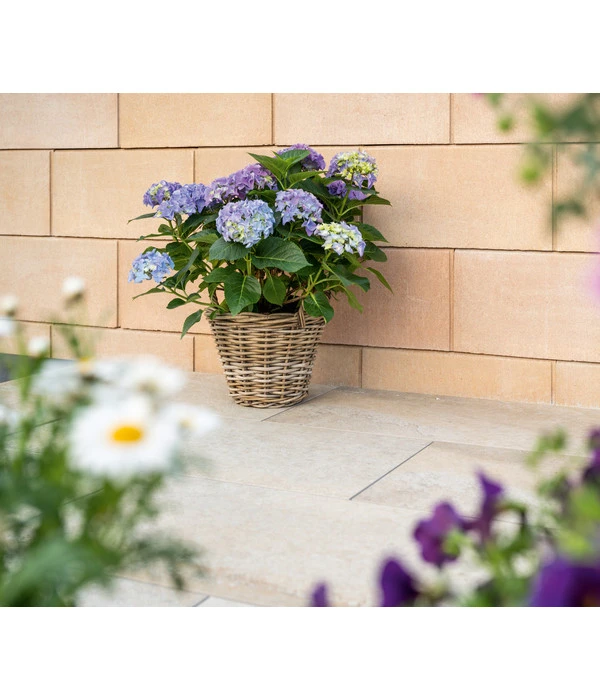 Diephaus Schalungsstein, Ca. B50/H25/T24 Cm – Bild 3