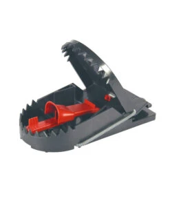 Swissinno Rattenfalle Supercat Pro