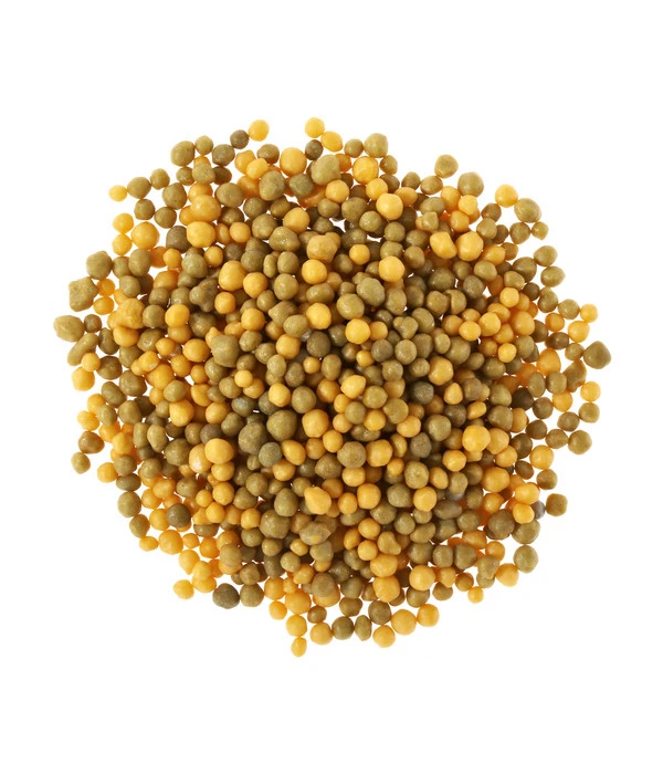 Substral® Osmocote® Buchs & Hecken Dünger, 1,5 Kg – Bild 3