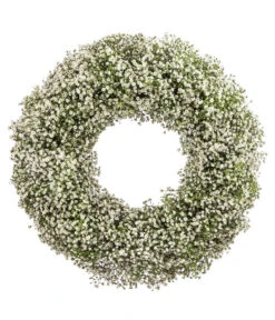 Dehner Kranz Schleierkraut, Weiß, Ca. Ø36 Cm