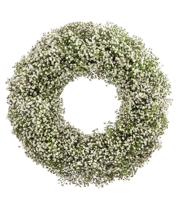 Dehner Kranz Schleierkraut, Weiß, Ca. Ø36 Cm