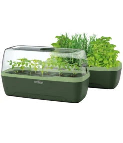 Romberg BOQUBE Anzuchtset L Plus, Ca. B17/H23/T41 Cm