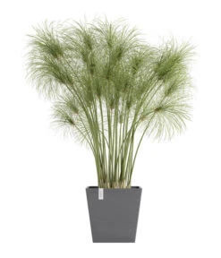 Ecopots Kunststoff-Topf Rotterdam Inkl. Wassersystem, Quadratisch