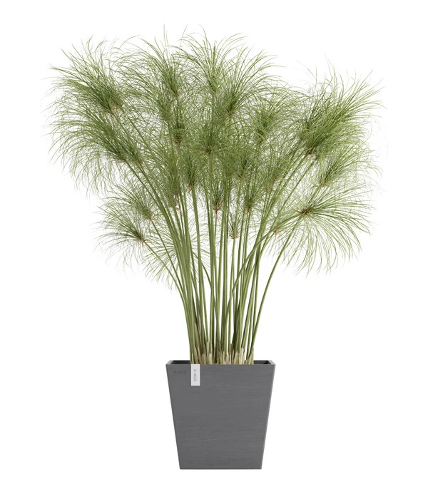 Ecopots Kunststoff-Topf Rotterdam Inkl. Wassersystem, Quadratisch