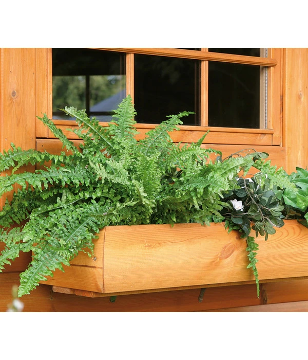 Wolff Finnhaus Blumenkasten Modell 80 Kota – Bild 2