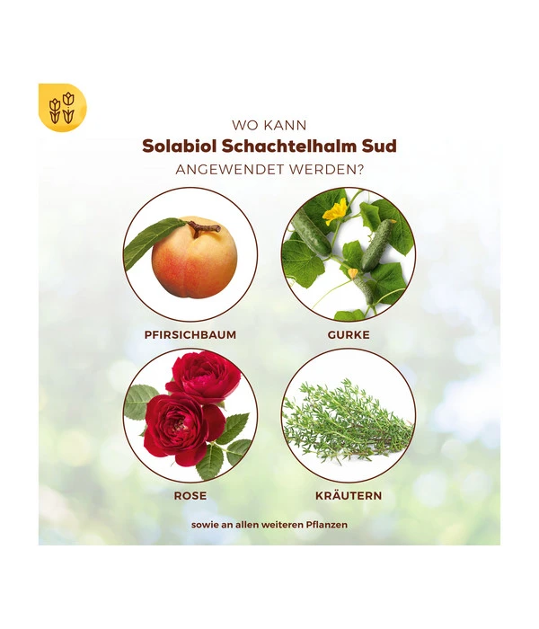 Solabiol® Schachtelhalm Sud, 1 L – Bild 4