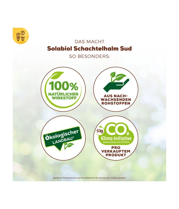 Solabiol® Schachtelhalm Sud, 1 L – Bild 6