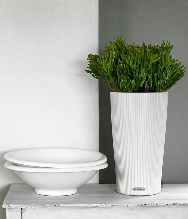 LECHUZA® CILINDRO Color, All-in-One Set – Bild 4