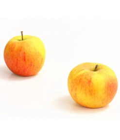 Winterapfel 'Goldparmäne'