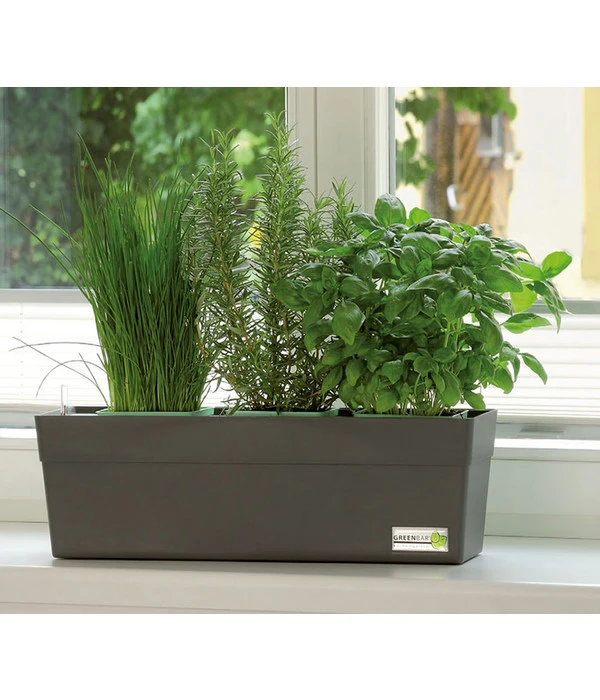 GREENBAR® Kräuterkasten, Ca. B48/H15,5/T16 Cm – Bild 9