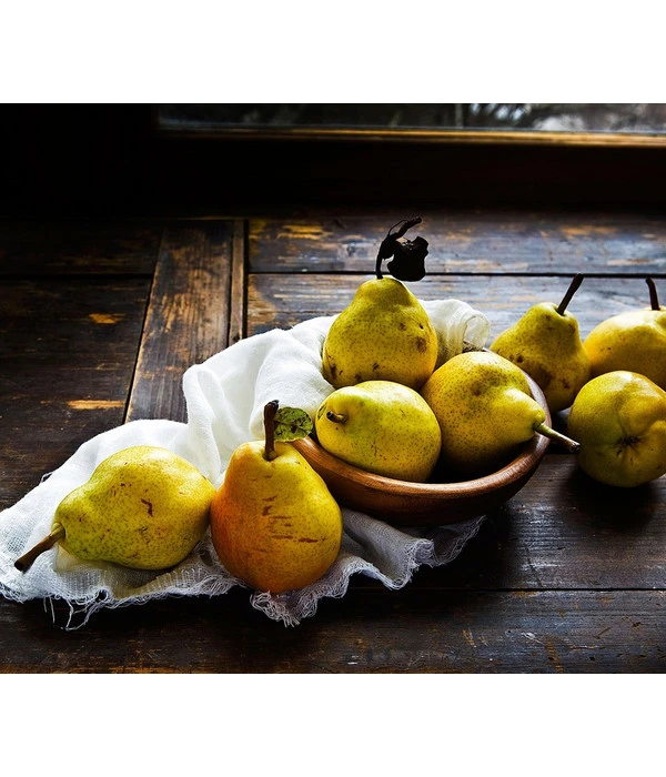 Sommerbirne 'Williams Christ' – Bild 3