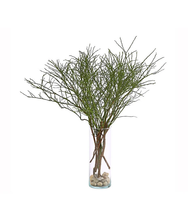 Heidelbeere-Bund, Ca. 40-50 Cm – Bild 2