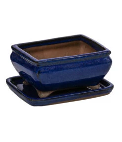 Dehner Keramik-Bonsaischale, Rechteckig, Ca. B15/H6,5/T11 Cm