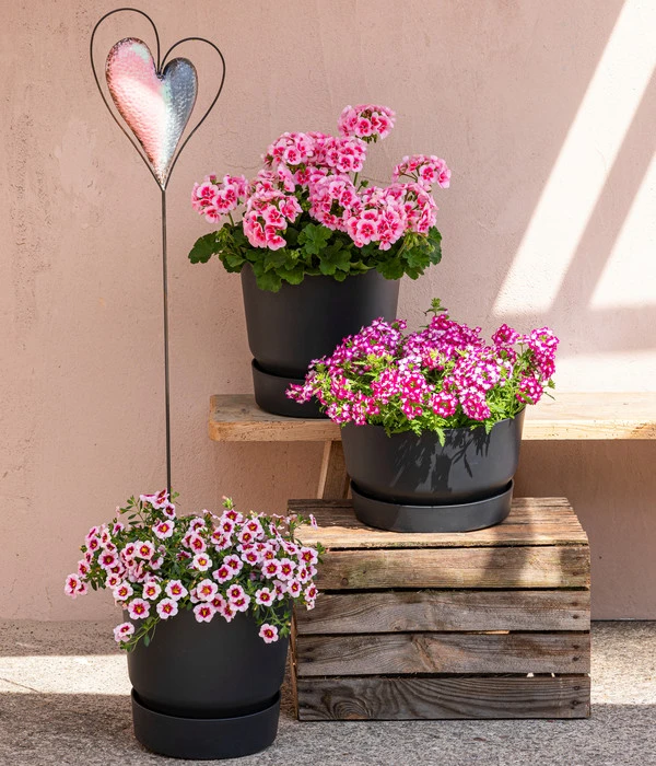 Elho Kunststoff-Topf Greenville, Ca. Ø19/H18 Cm – Bild 3