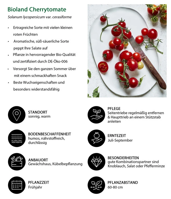 Bioland Cherrytomate – Bild 5