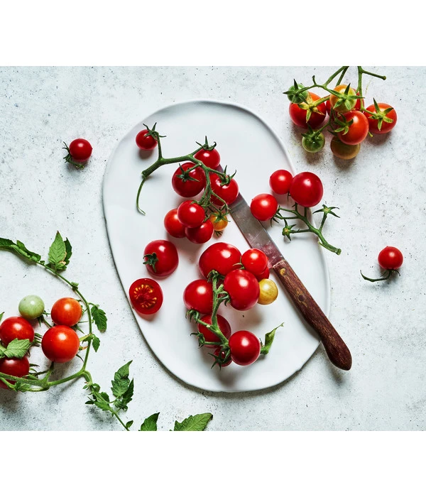Bioland Cherrytomate – Bild 4